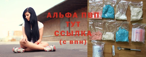 сатива Аркадак