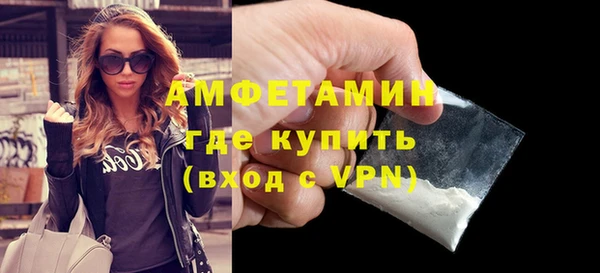 сатива Аркадак