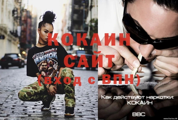 сатива Аркадак
