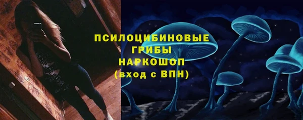 ПСИЛОЦИБИНОВЫЕ ГРИБЫ Арсеньев