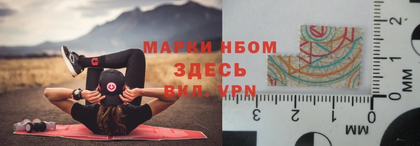 ПСИЛОЦИБИНОВЫЕ ГРИБЫ Арсеньев
