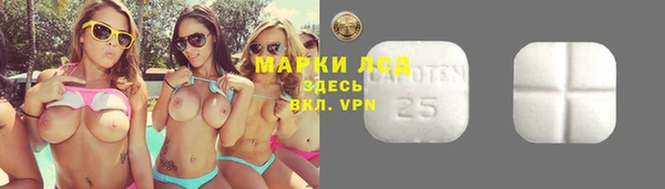 сатива Аркадак