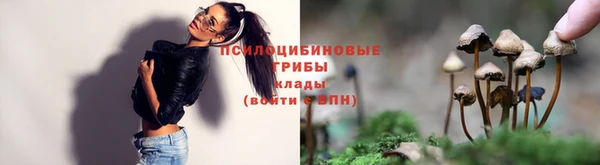 ПСИЛОЦИБИНОВЫЕ ГРИБЫ Арсеньев