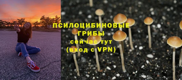 дурь Армянск