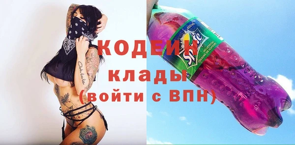 ПСИЛОЦИБИНОВЫЕ ГРИБЫ Арсеньев