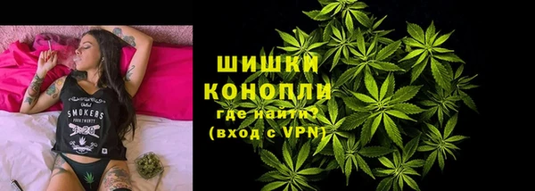 сатива Аркадак