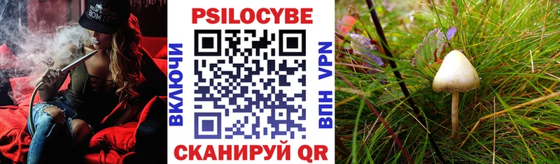 магазин    ссылка на мегу ONION  Галлюциногенные грибы GOLDEN TEACHER  Бодайбо 